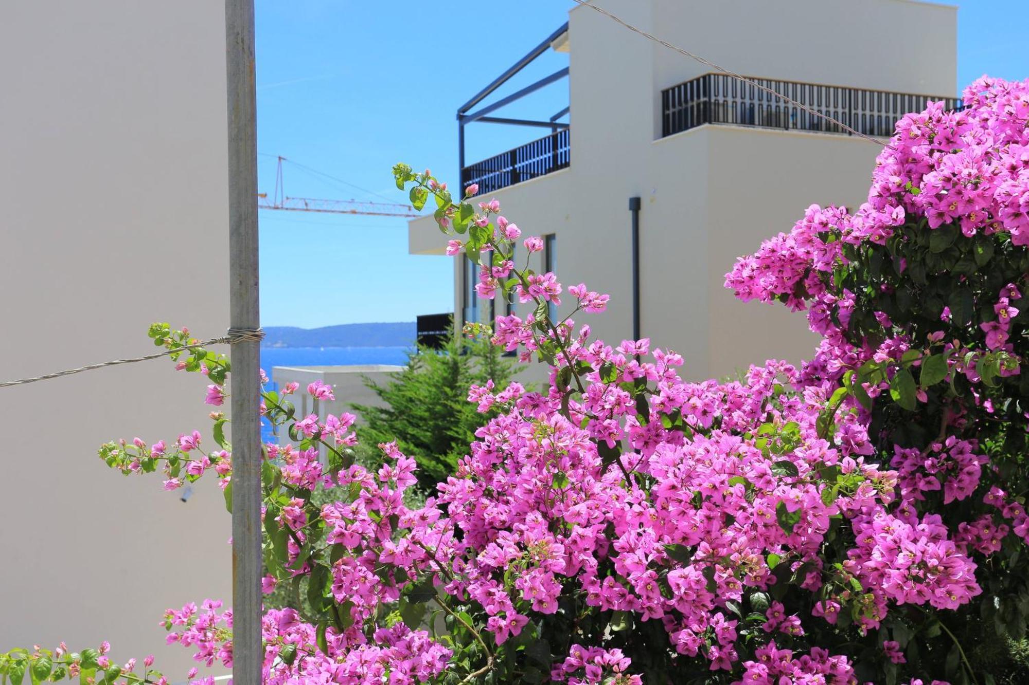 Family Friendly Apartments With A Swimming Pool Businci, Ciovo - 11232 Trogir Exterior foto